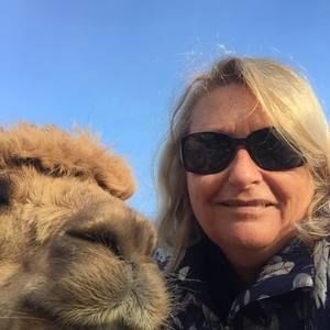 Meet your Posher, Anne